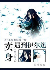(獵人同人)賣 身遇到伊爾迷